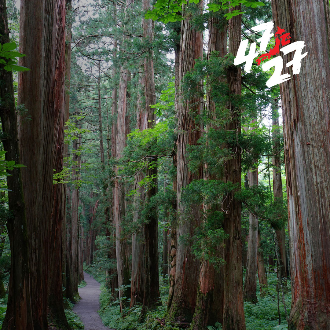 Chubu Region